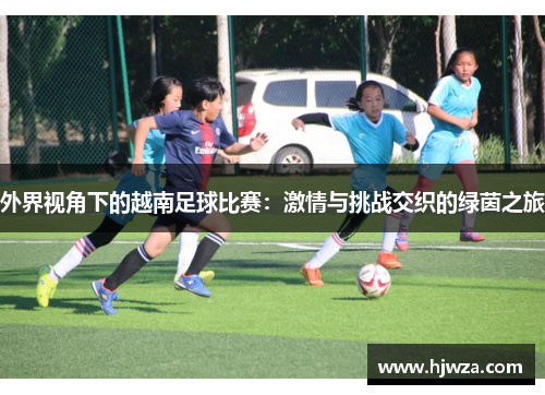 外界视角下的越南足球比赛：激情与挑战交织的绿茵之旅